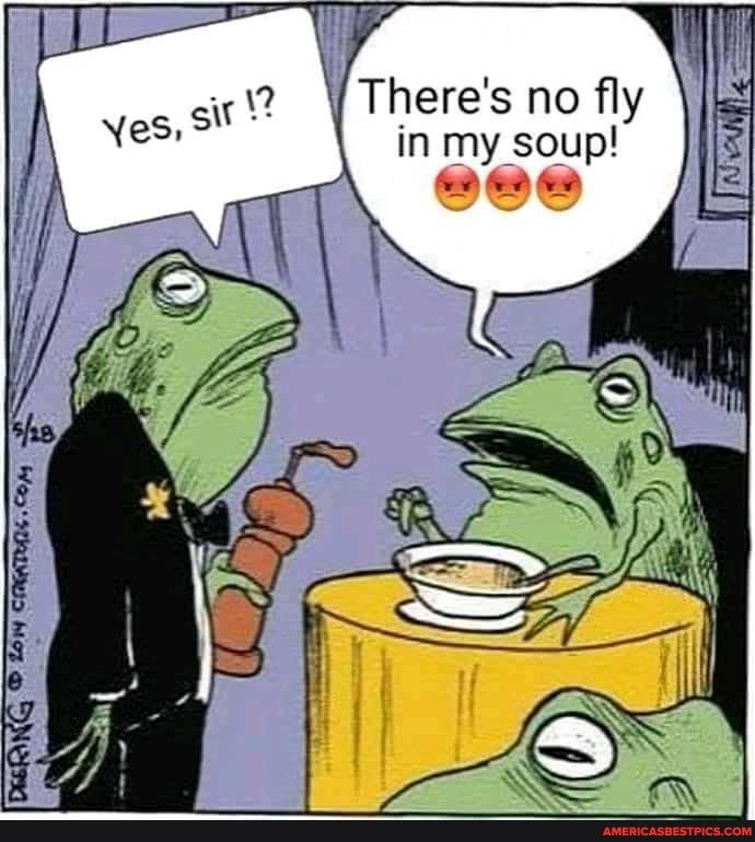 There's no fly in my soup!