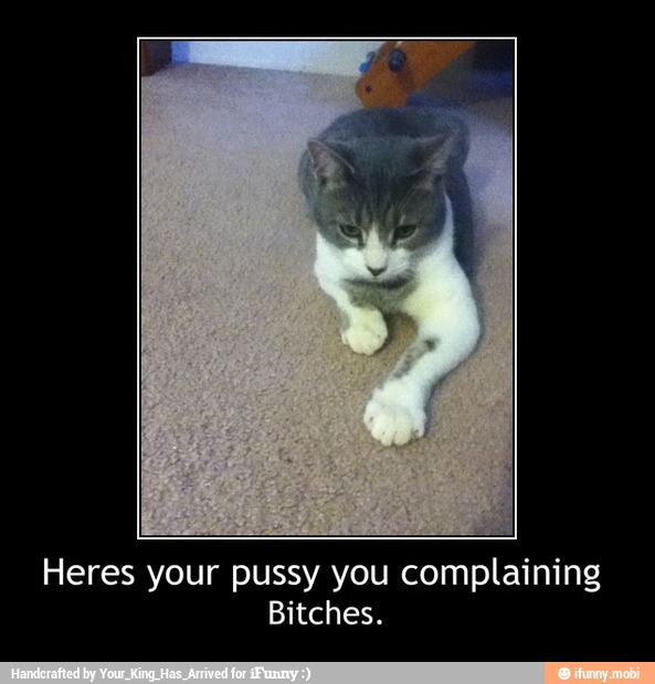 Heres your pussy you complaining
Bitches. - Heres your pussy you complaining
Bitches.
