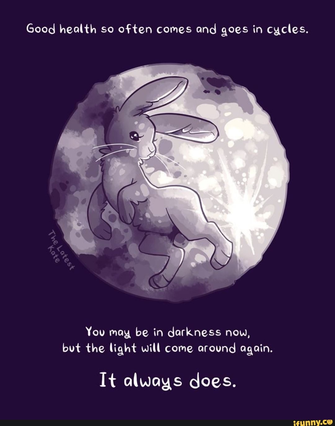 To the Moon кролик