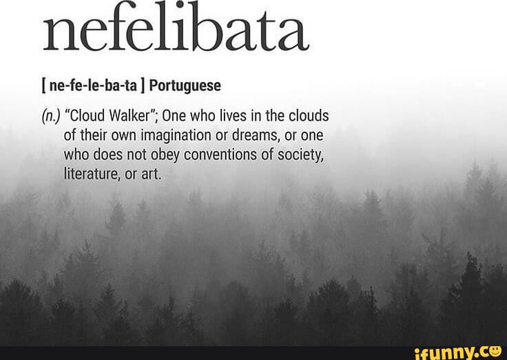 Nefelibata [ne-fe-le-ba-ta Portuguese (n.) Cloud Walker, One who
