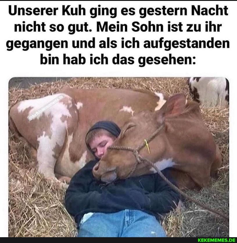 Unserer Kuh ging es gestern Nacht nicht so gut. Mein Sohn ist zu ihr gegangen und als ich aufgestanden bin hab ich das gesehen: