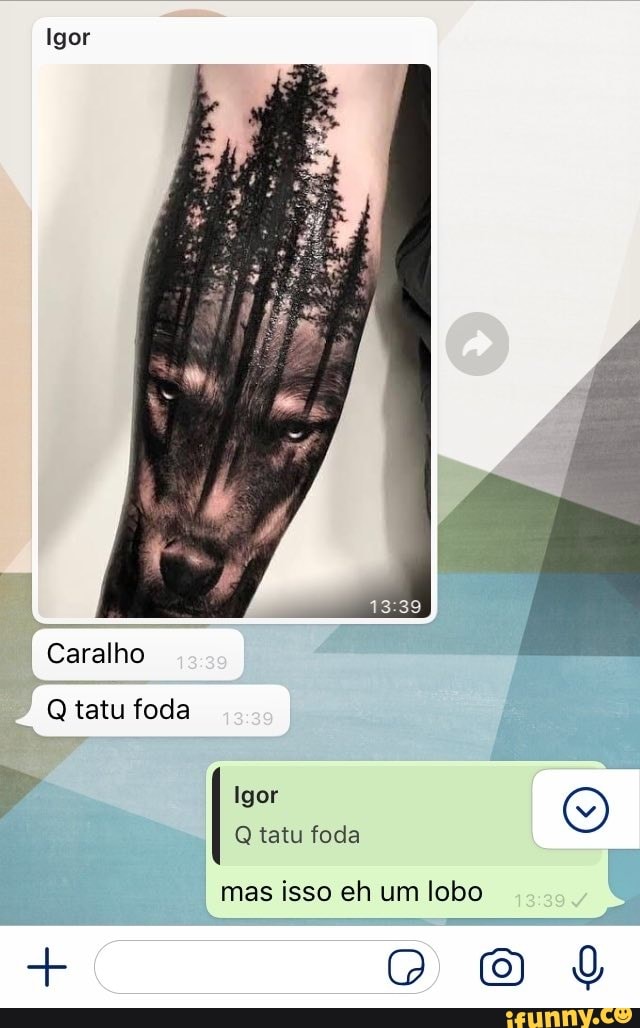 Igor
Caralho
tatu foda
1339
Igor
Q tatu foda
mas isso eh um lobo