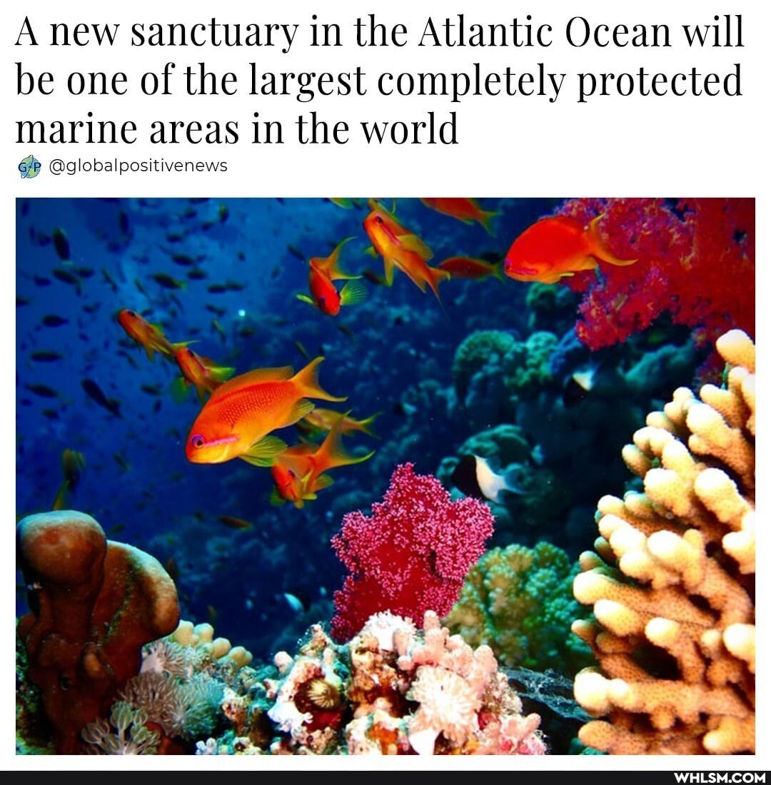 A new sanctuary in the Atlantic Ocean will be one of the largest completely protected
marine areas in the world
@globalpositivenews