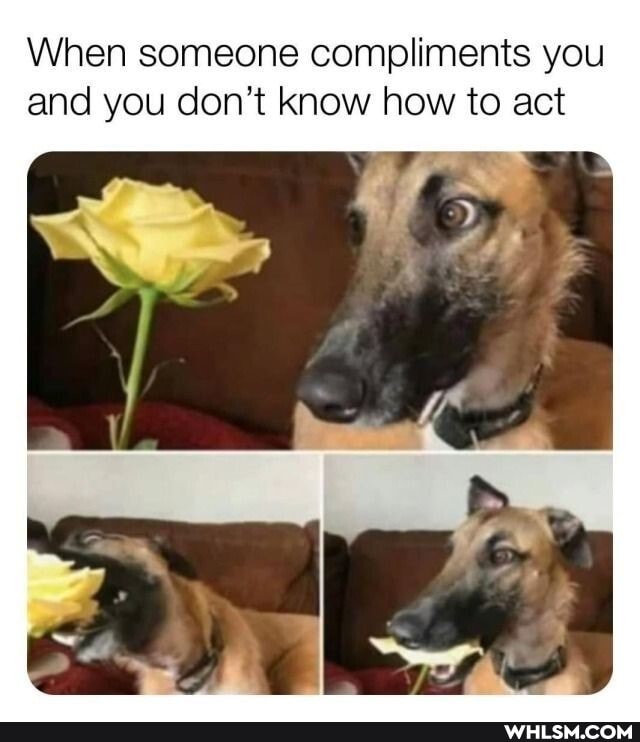 When someone compliments you and you don't know how to act