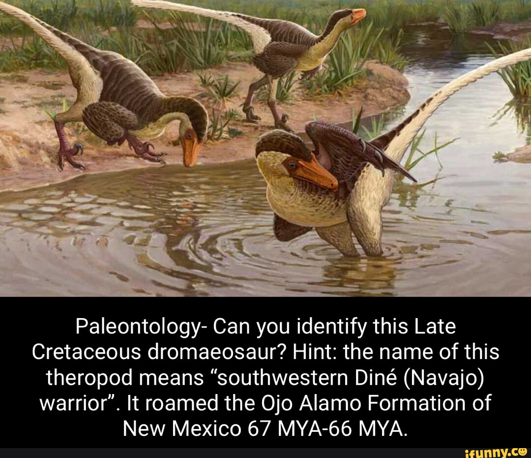 Paleontology- Can you identify this Late Cretaceous dromaeosaur? Hint ...