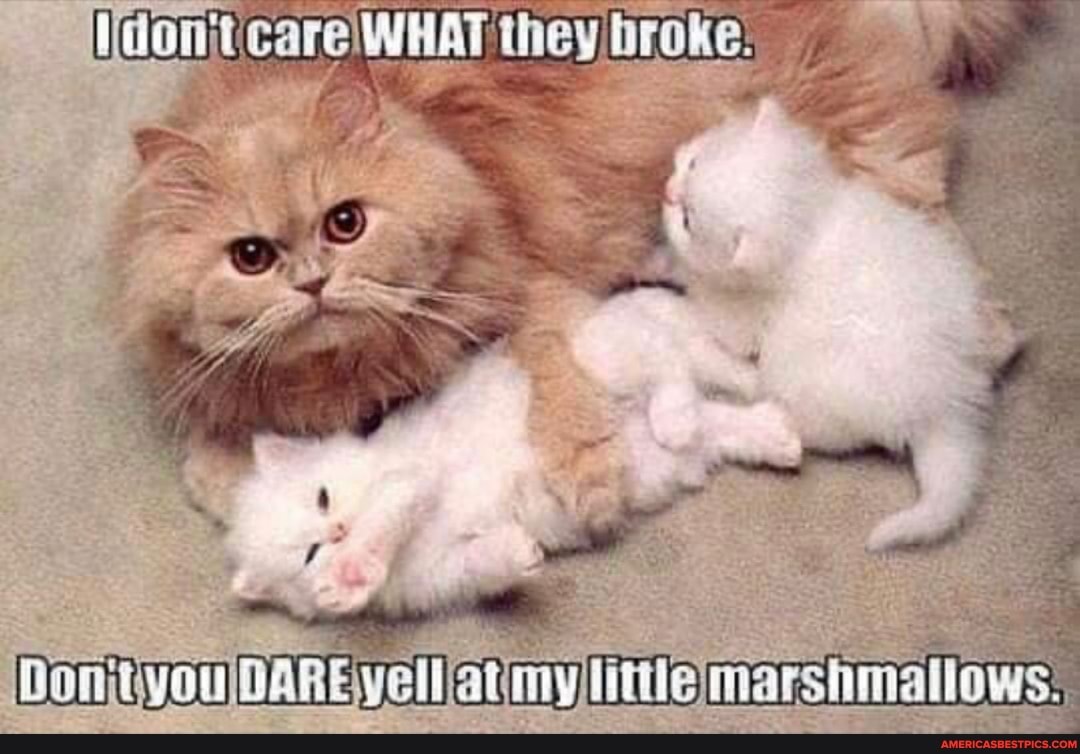 don
st
they broke
DARE
hmatlows:,