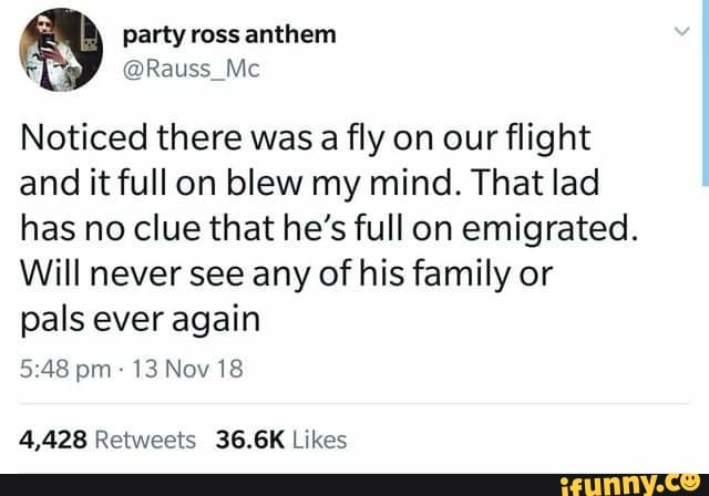 Noticed there was a fly on our flight
and it full on blew my mind. That lad
has no clue that he's full on emigrated.
Will never see any of his family or
pals ever again