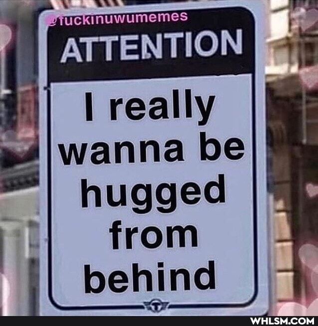 inuwumemes
ATTENTION
really wanna be hugged from