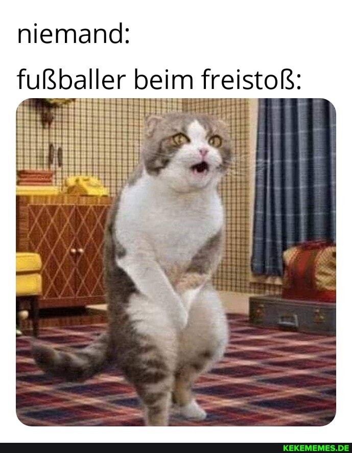 niemand:
fußballer beim freistoß: