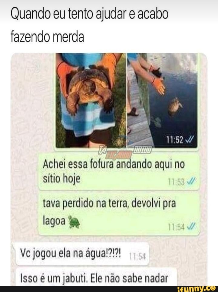 Quando eu tento ajudar e acabo
fazendo merda
lagoa ia
ai
Isso é um jabuti. Ele não sabe nadar