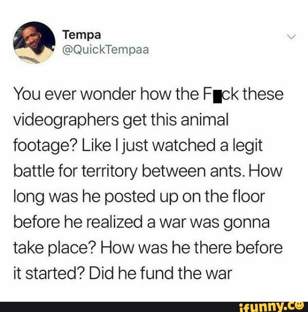 ER
You ever wonder how the Fgck these
videographers get this animal
footage? Like I just watched a legit
battle for territory between ants. How
long was he posted up on the floor
before he realized a war was gonna
take place? How was he there before
it started? Did he fund the war