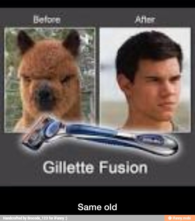 Gillette Fusion
Same old - Same old