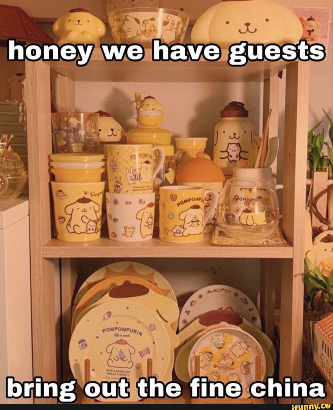 Honey we have guests bring out the fine china iFunny