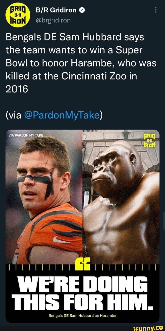 WE'RE DOING THIS FOR HIM ~BENGALS DE SAM HUBBARD ON HARAMBE- - iFunny