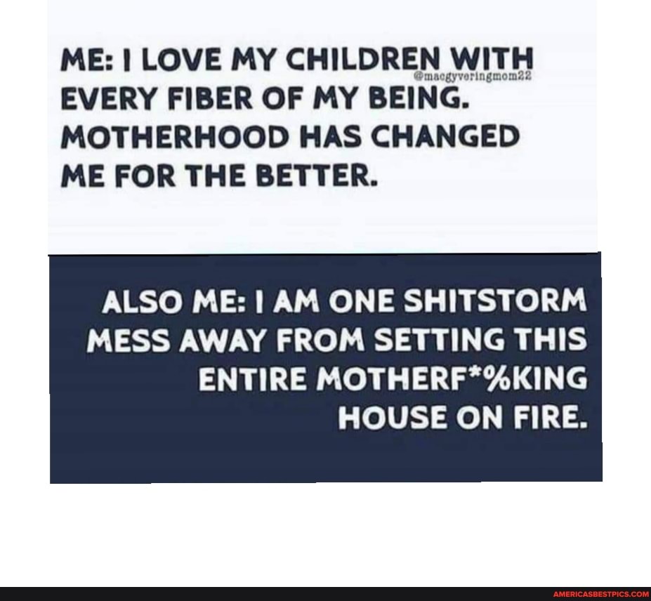 ME: I LOVE MY CHILDREN WITH EVERY FIBER OF MY BEING.
MOTHERHOOD HAS CHANGED ME FOR THE BETTER.
ALSO ME: AM ONE SHITSTORM MESS AWAY FROM SETTING THIS
ENTIRE HOUSE ON FIRE.