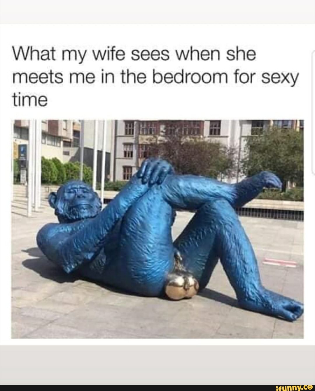 What my wife sees when she meets me in photo