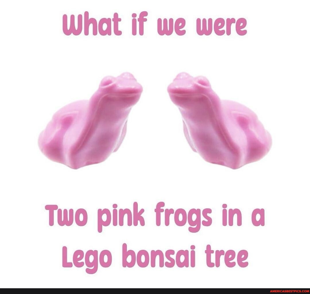 It’s friday 🙏😽 What if we were Two pink frogs in Lego bonsai tree