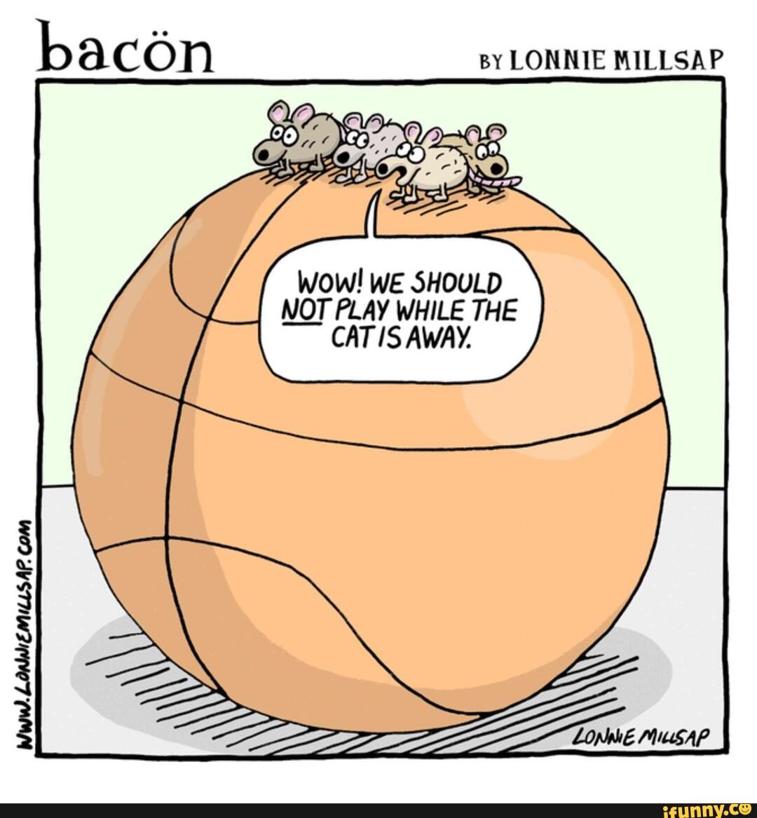The_cat_is_away memes. Best Collection of funny The_cat_is_away
