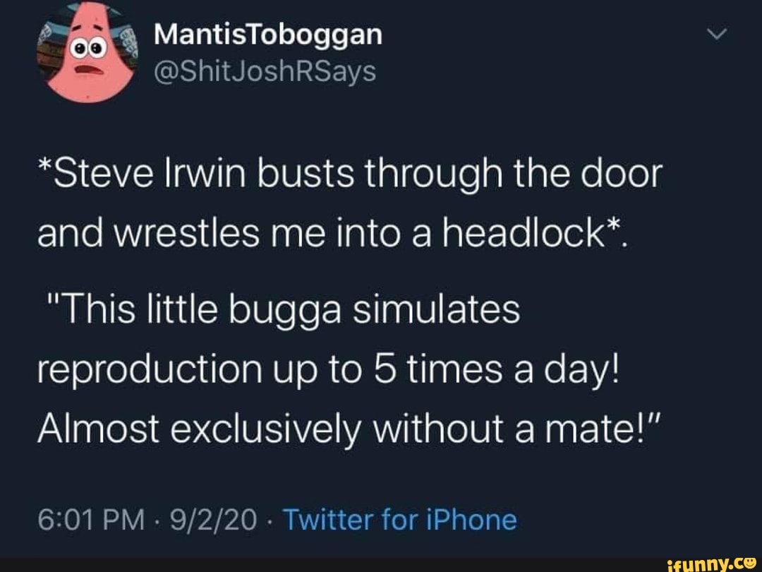 MantisToboggan
@ShitJoshRSays
*Steve Irwin busts through the door and wrestles me into a headlock*.
"This little bugga simulates reproduction up to 5 times a day!
Almost exclusively without a mate
PM Twitter for iPhone