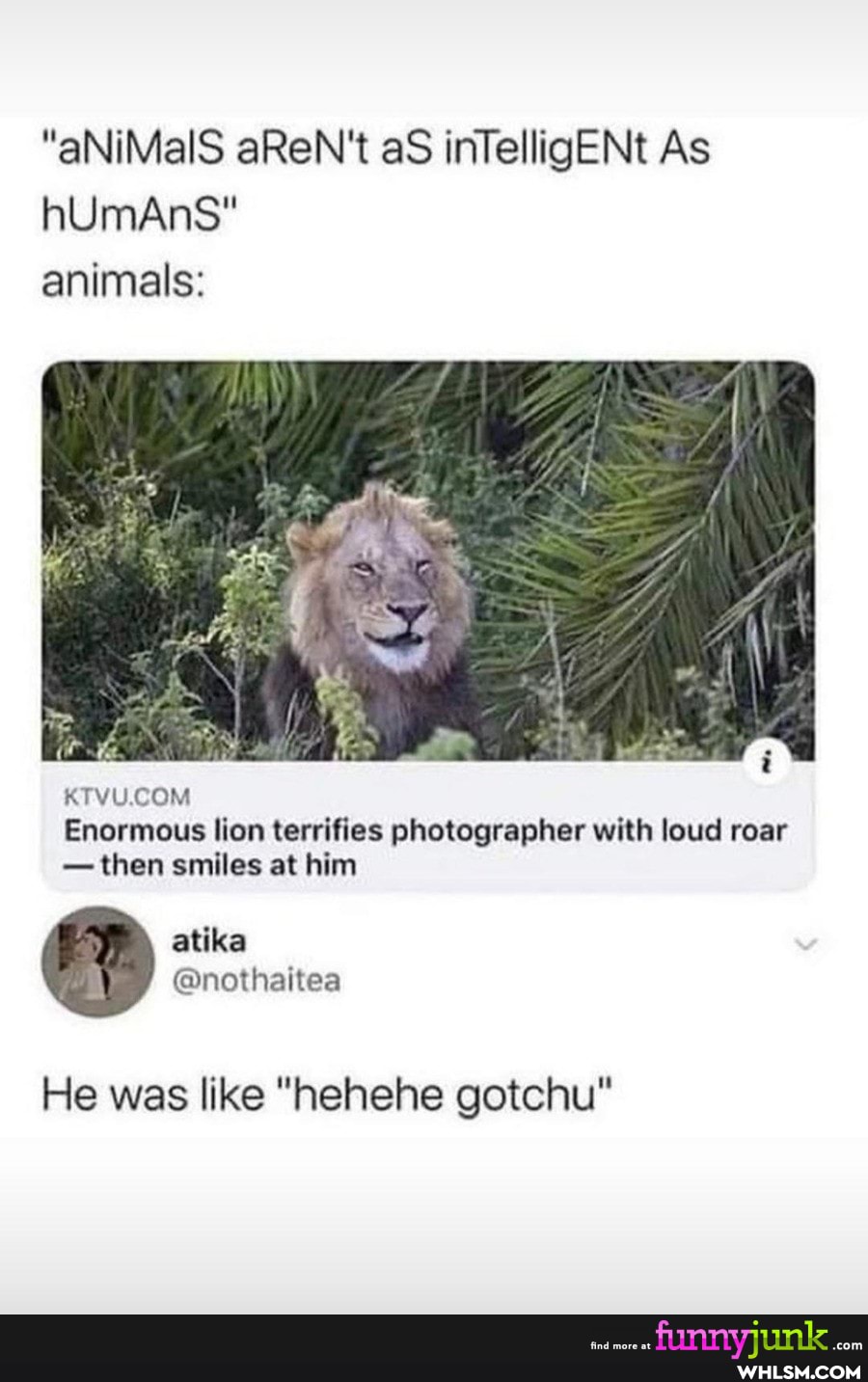"aNiMalS aReN't aS inTelligENt As hUmAns" animals:
KIVUCOM
Enormous lion terrifies photographer with loud roar
-then smiles at him
He was like "hehehe gotchu"