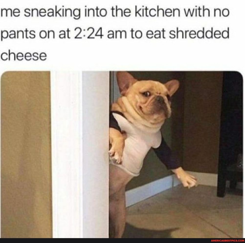me sneaking into the kitchen with no pants on at am to eat shredded
cheese