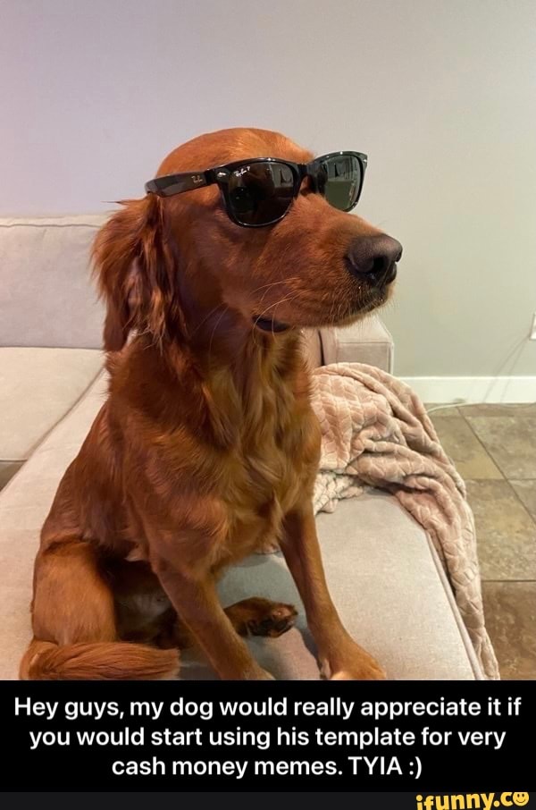 Hey guys, my dog would really appreciate it if you would start using his template for very cash money memes. TYIA - Hey guys, my dog would really appreciate it if you would start using his template for very cash money memes. TYIA :)
