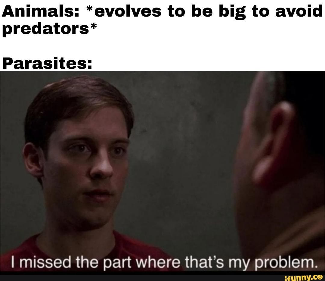 Animals: *evolves to be big to avoid predators* Parasites: I missed the ...