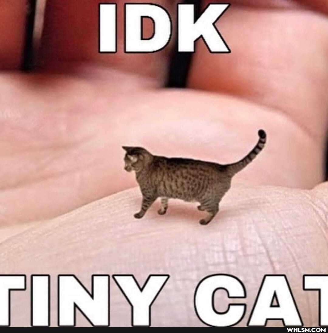 IDK
TiNY CA'