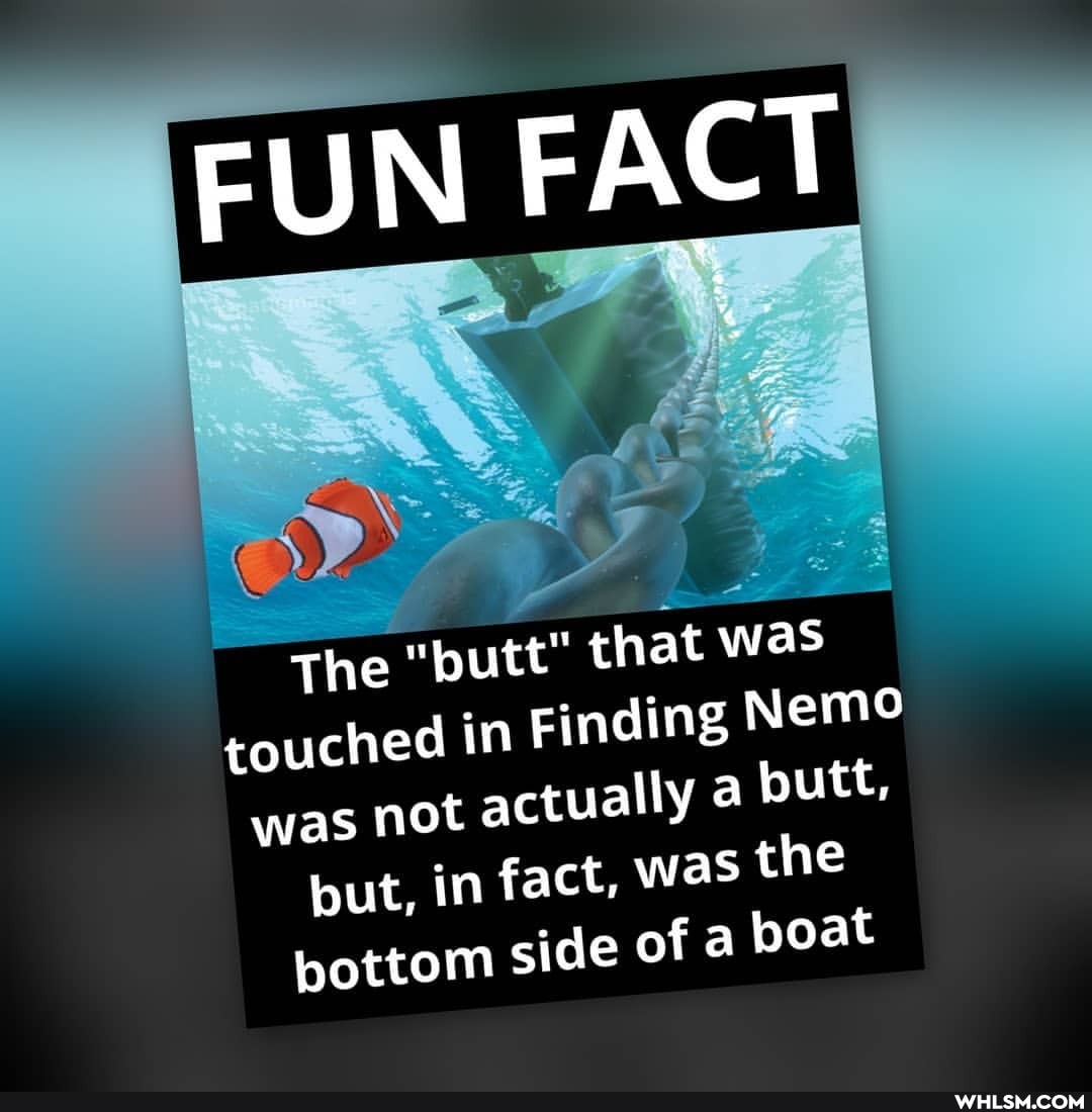 FUN FACT
The "butt" that was touched in Finding Nemo was not actually a butt, but, in fact, was the
bottom side of a boat