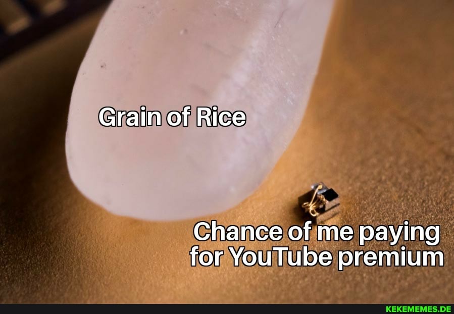 Grain of Rice
Chance of me paying for YouTube premium