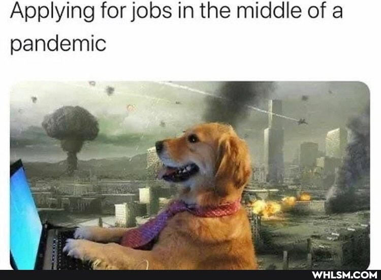 Applying for jobs in the middle of a pandemic
