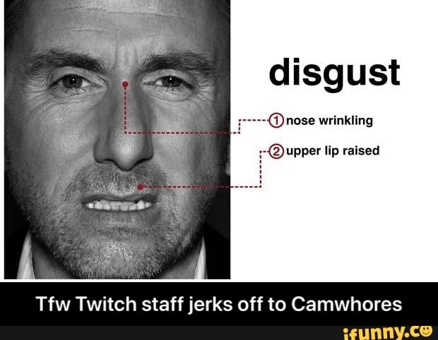 Twitch cam whores