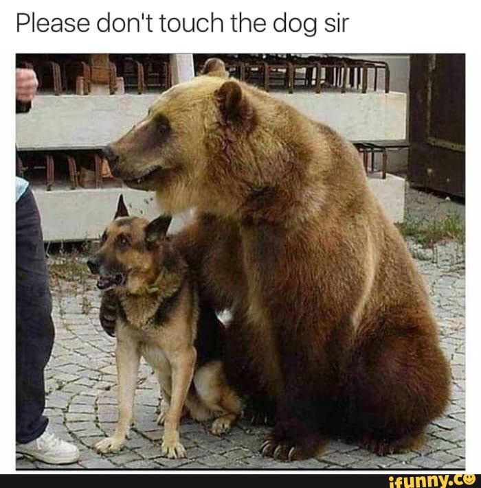 Please don't touch the dog sir