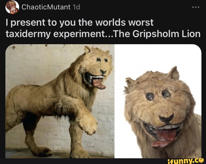 ChaoticMutant I present to you the worlds worst taxidermy The Gripsholm ...