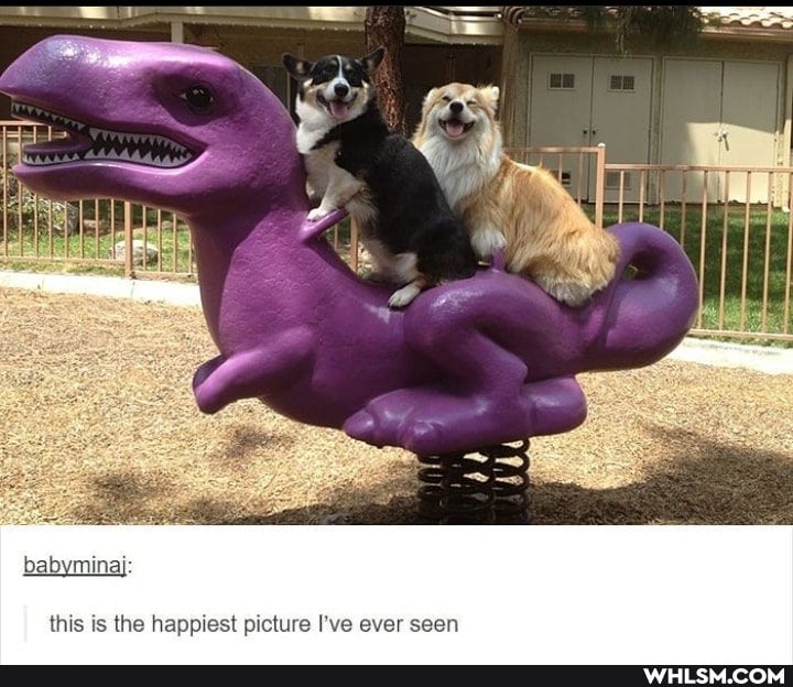 babyminaj:
this is the happiest picture I've ever seen