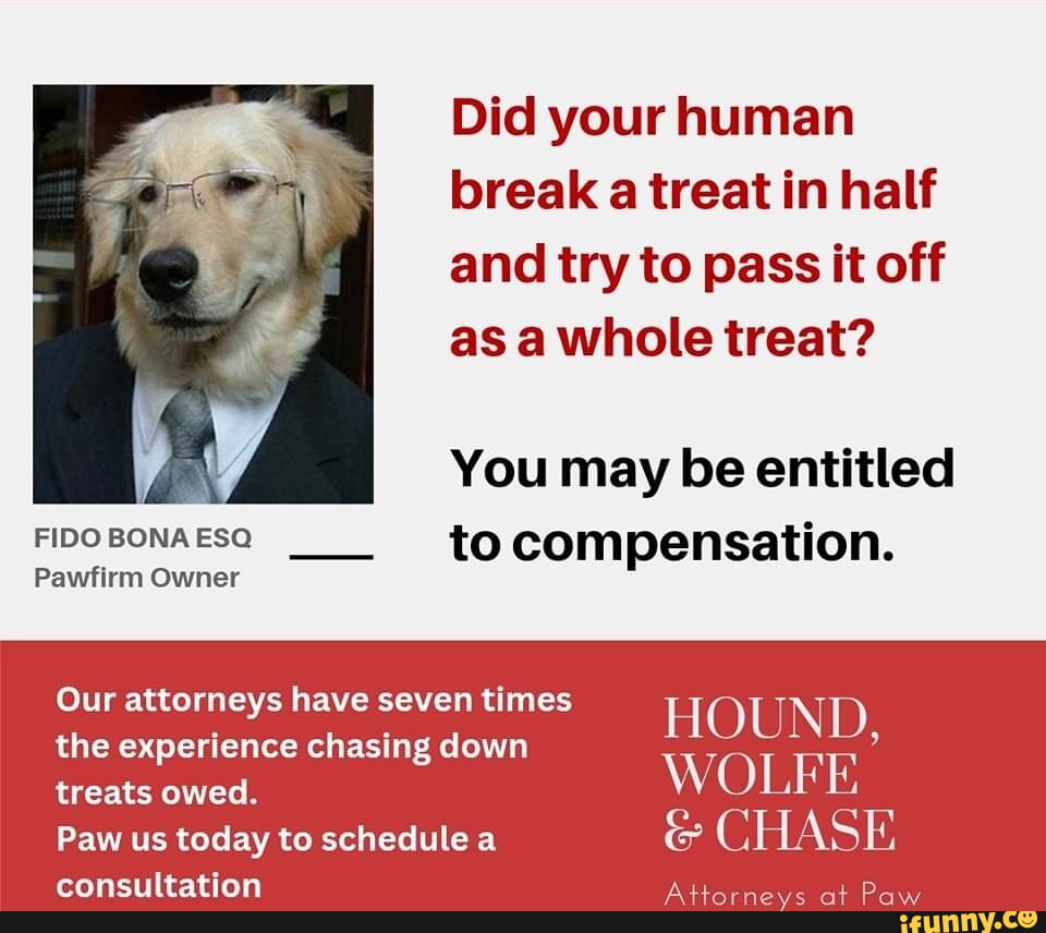 Did your human break a treat in half and try to pass it off as a whole ...