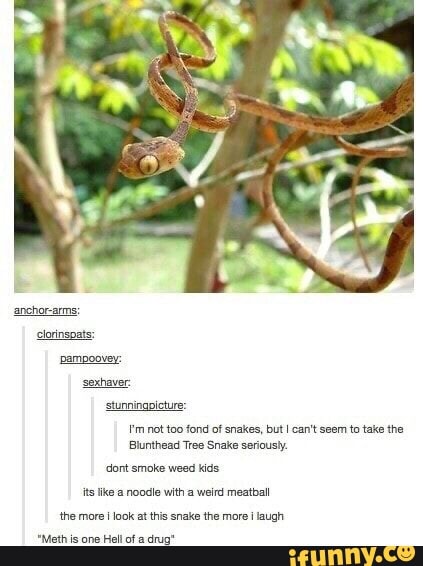 the more I look at this snake the more I laugh
"Math is one
Hell of:a drug"