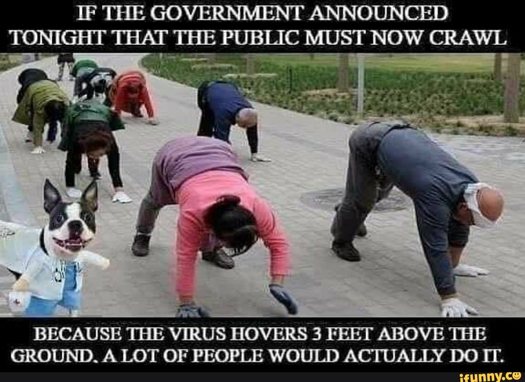 IF THE GOVERNMENT ANNOUNCED
TONIGHT THAT THE PUBLIC MUST NOW CRAWL
BECAUSE THE
VIRUS HOVERS 3 FEET ABOVE
THE
GROUND. A LOT OF PEOPLE WOULD ACTUALLY DO TIT.