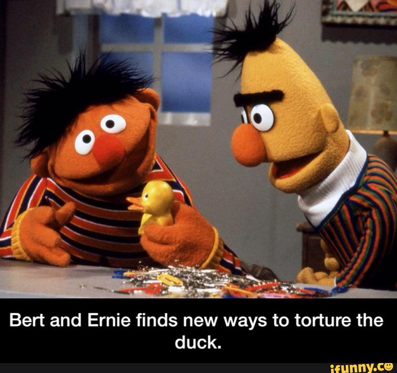 Bert And Ernie Finds New Ways To Torture The Duck. - Bert And Ernie 