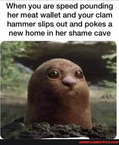 When you are speed pounding her meat wallet and your clam hammer slips out and pokes a new home in her shame cave