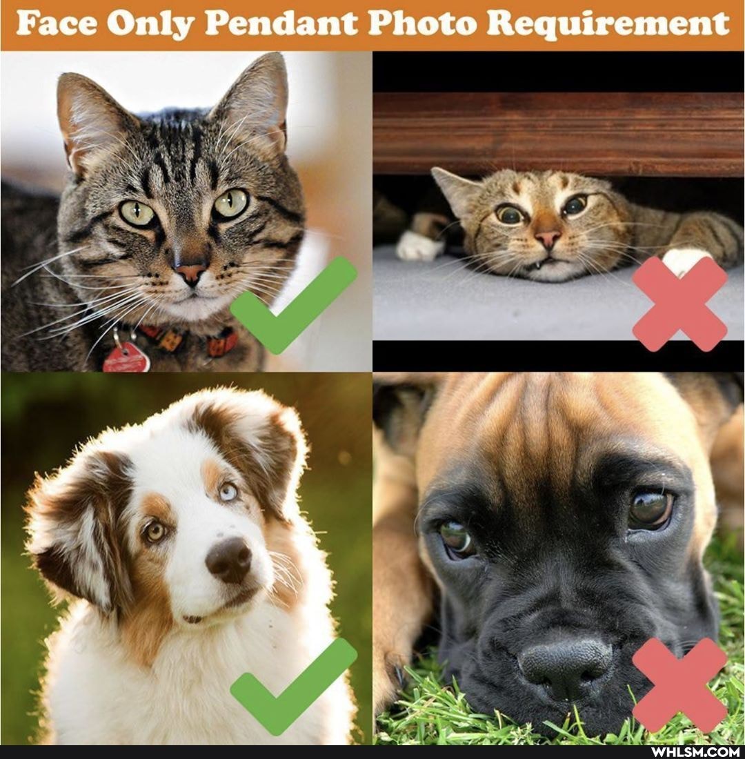 Face Only Pendant Photo Requirement