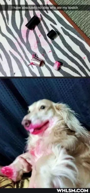 haye absalutaly, no idea who ate my lipstick