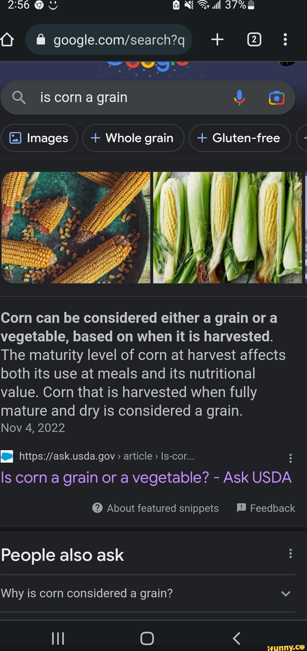 q-is-corn-a-grain-images-whole-grain-gluten-free-corn-can-be