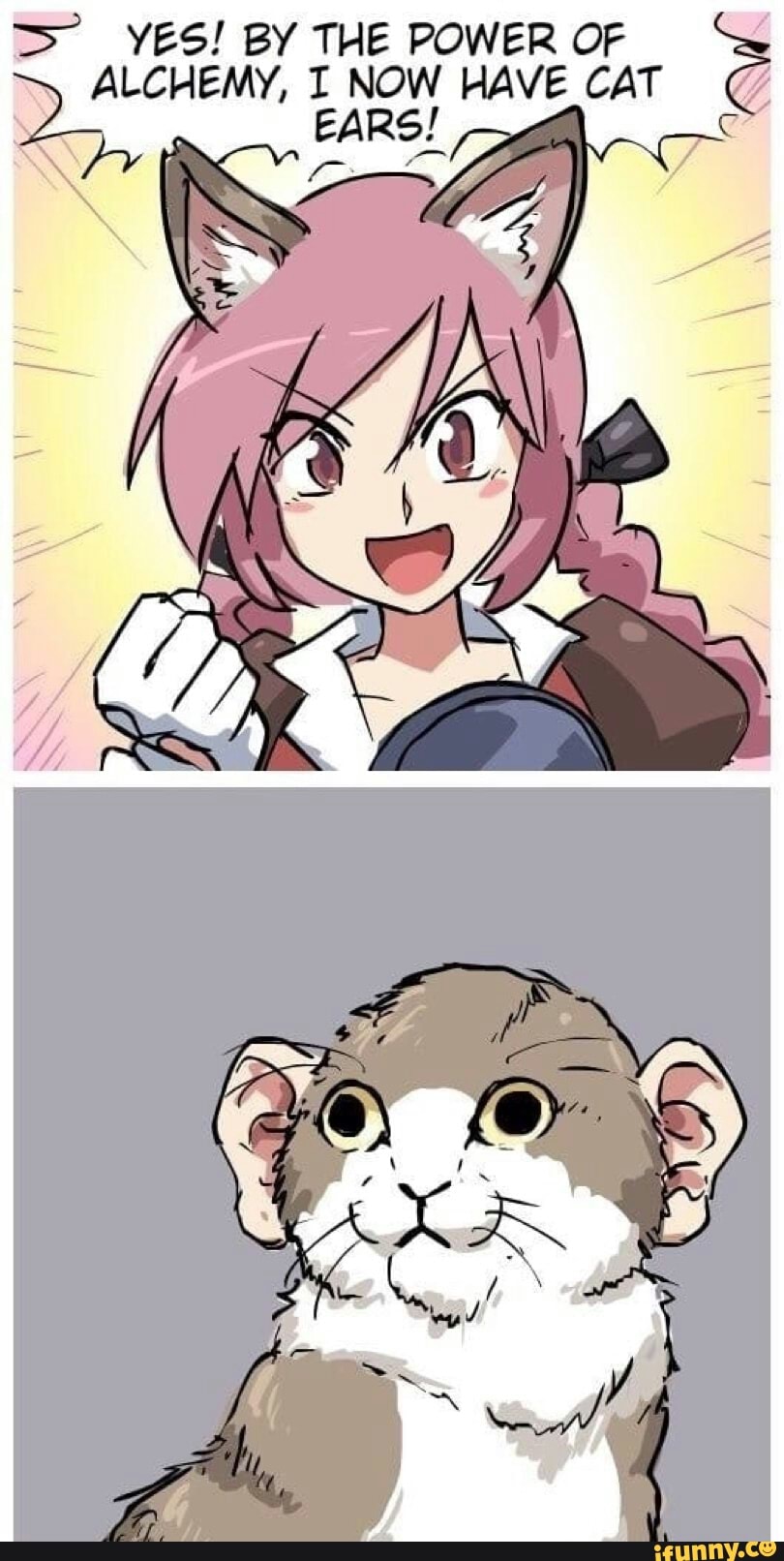 Кот мемы аниме
