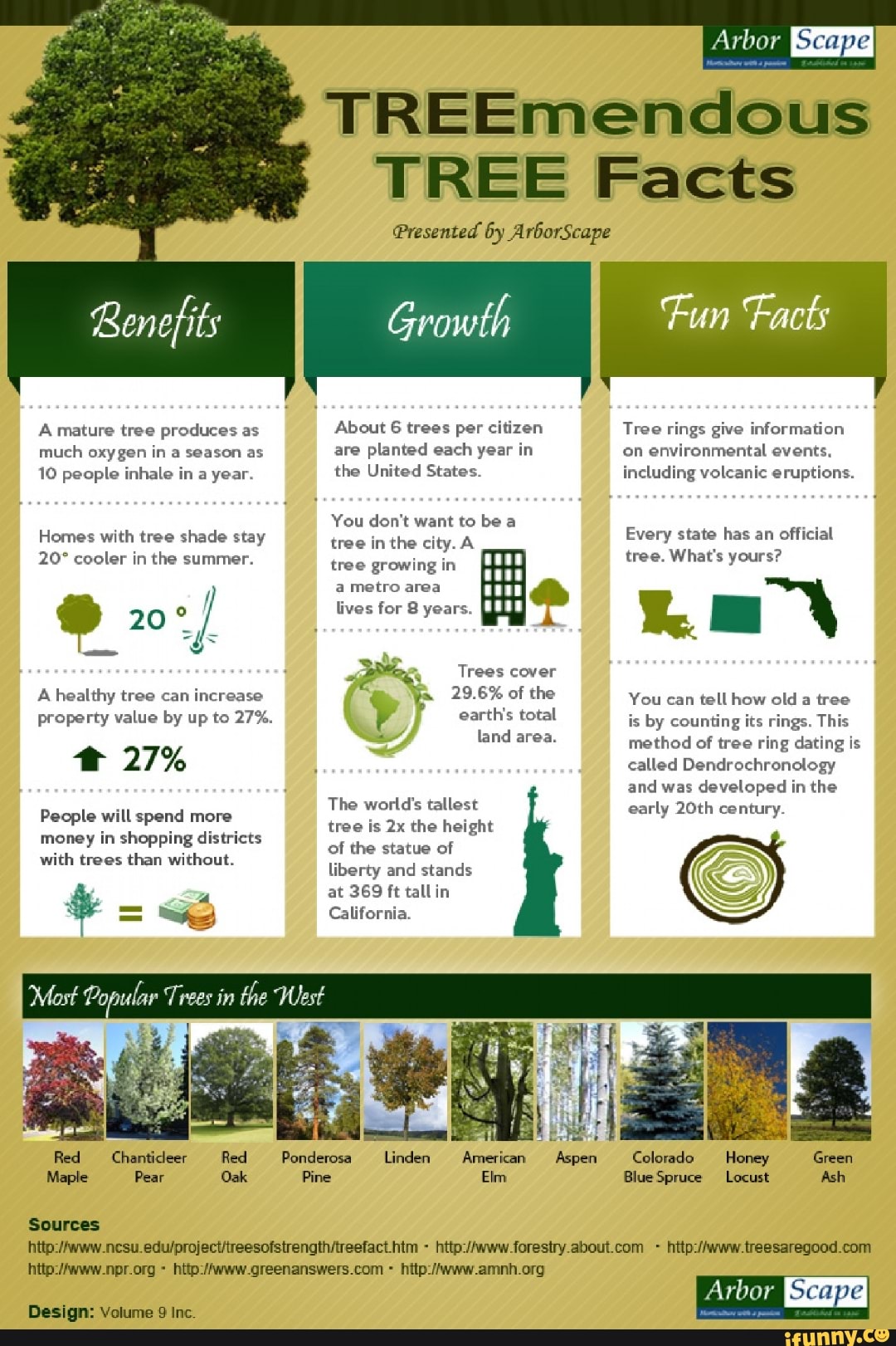 Benefits A mature tree produces as much oxygen in a season as 10 people