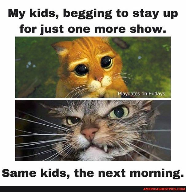 My kids, begging to stay up for just one more show.
Same kids, the next morning.