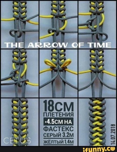 THE ARROW CF TIME