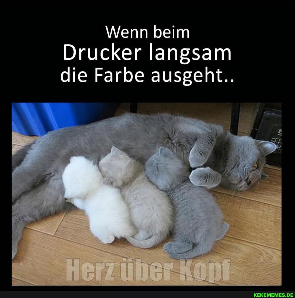 Wenn beim
Drucker langsam die Farbe ausgeht..