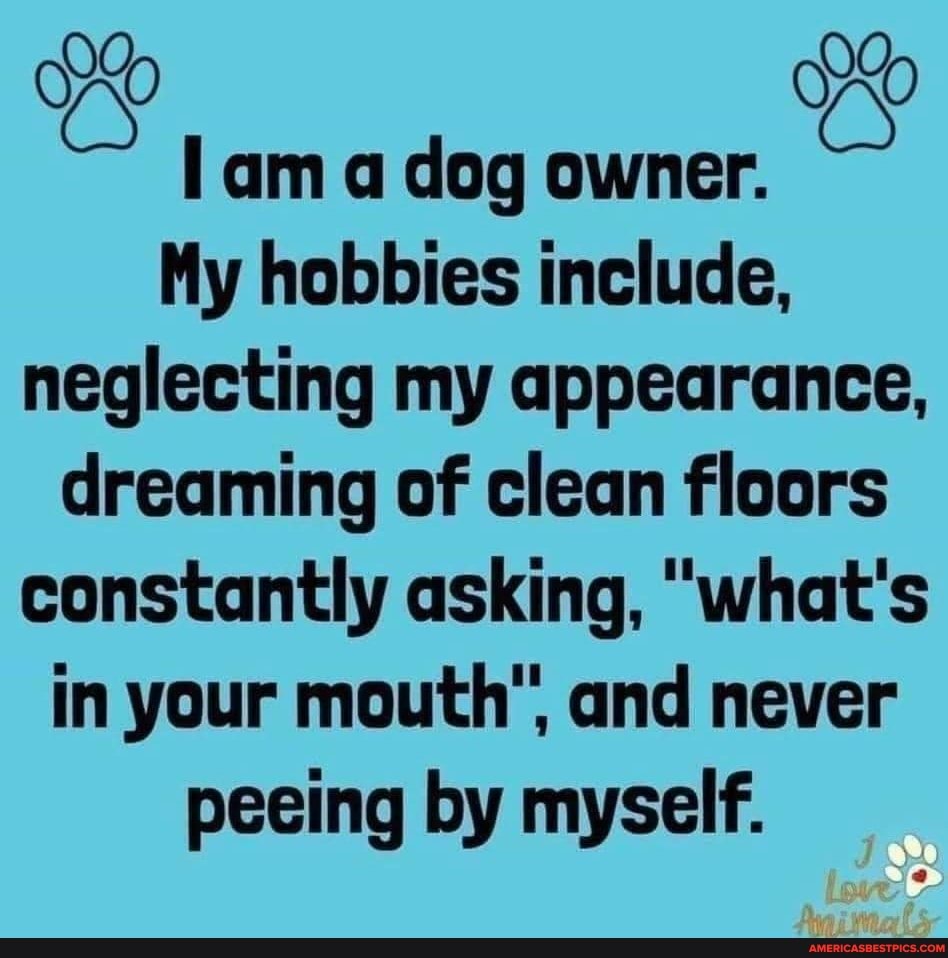 am a dog owner.
My hobbies include, neglecting my appearance, dreaming of clean floors constantly asking, "what's in your mouth', and never
peeing by myself.
love