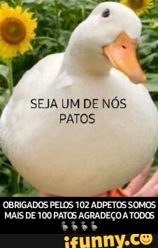 SEJA UM DE NÓS
PATOS
OBRIGADOS MAIS DE PELOS 100 102 ADPETOS SOMOS MAIS DE 100 PATOS AGRADEÇO A TODOS - OBRIGADOS PELOS 102 ADPETOS SOMOS MAIS DE 100 PATOS AGRADEÇO A TODOS🦆🦆🦆🦆
